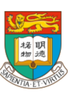The University of Hong Kong