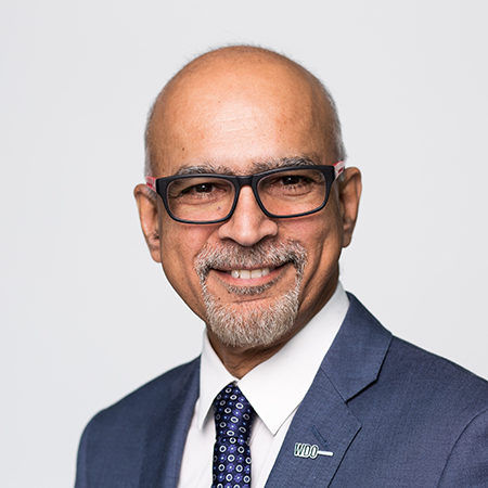 Prof. Srini